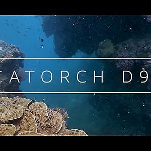 Great Barrier Reef x OrcaTorch D910V