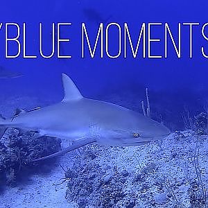 Blue Moments