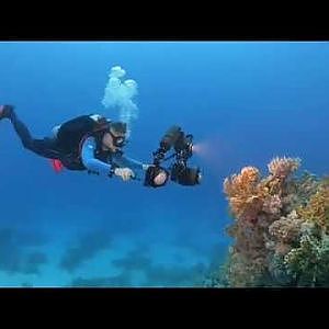 OrcaTorch D910V U/W Video Light - Neutral Buoyancy - YouTube