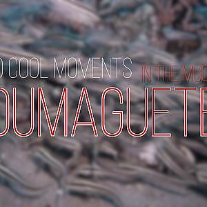 Muck Diving in Dumaguete