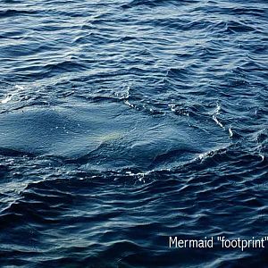 Mermaid Footprint