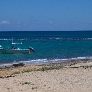 Beach of Cabo Pulmo