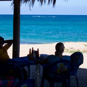 Lunch at taco shack