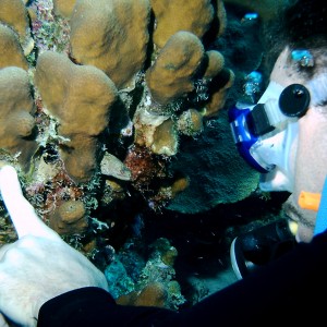 Rich_and_Goldentail_Moray