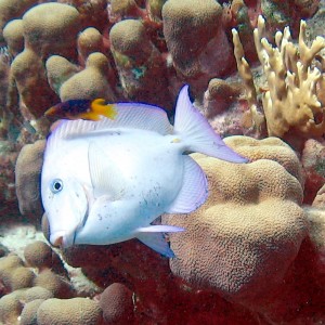 IMG_0922-1