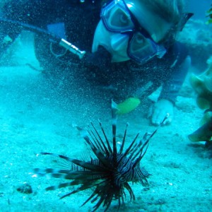 Shoshanna & Lionfish