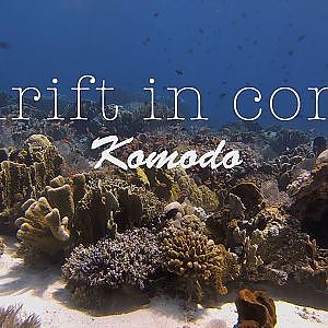 Adrift in Coral - Reefs of Komodo National Park - Indonesia