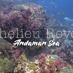 Richelieu Reverie - Richelieu Rock, Andaman Sea 【リチュリューロック】アンダマン海、タイ