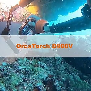 OrcaTorch D900V Multifunctional Underwater Video Light