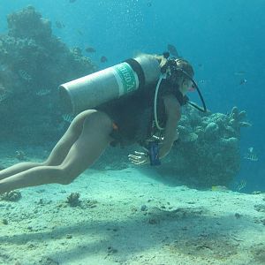 100th dive tradition