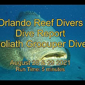 Jupiter Florida Dive Report