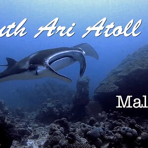 A Week in South Ari Atoll - Maldives - モルディブ､南アリ環礁､ディグラ島