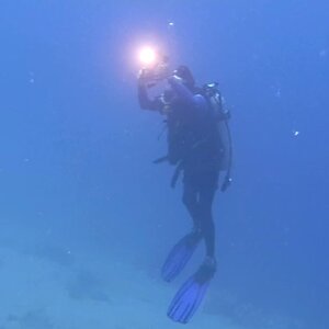 Shipwreck Viking Nassau by Millie Conde Pressler November 2021 Stuart Coves Dive Center