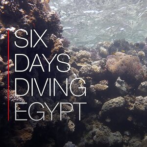 Six Days Diving Egypt's Nature Reserves