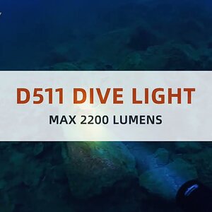 Best Dive Light for Murky Water - D511 Dive Light Testing