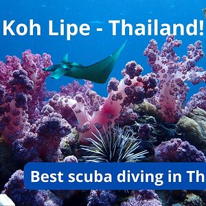 Koh Lipe - Thailand - Best Scuba Diving Location in Thailand! (Short Docu!)