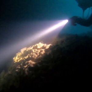 Testing Out The Orcatorch D550 Dive Light