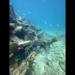 East End Of Erojacks Artificial Reef