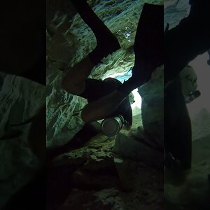 Wait For It... ⚠️ #cenote #diving #yucatan