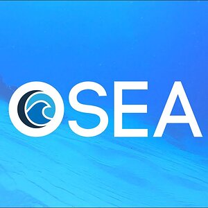 OSEA Scuba Diving in Cozumel!