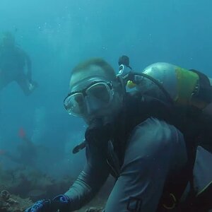 Drift Diving the Ana Cecilia Wreck over Mid Reef in Palm Beach, FLð¢ ð´âï¸