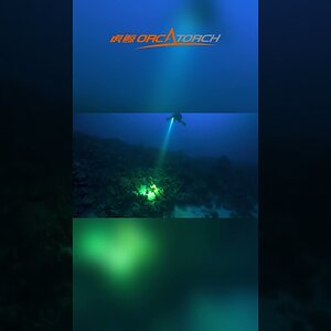 Best Light for Dive Instructor?