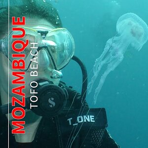 Scuba Diver Encounters Jellyfish in Mozambique