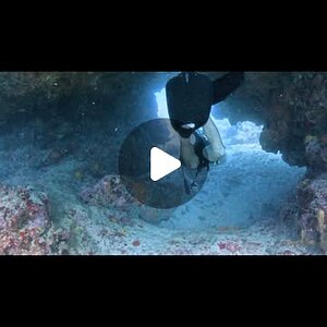 Deshawn's Sint Maarten dive Thanksgiving weekend 2024