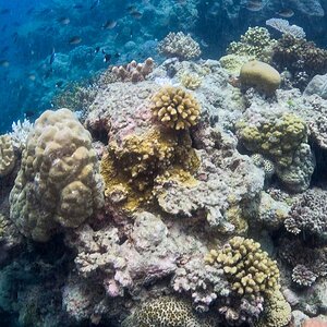 Great_Barrier_Reef-2.jpg