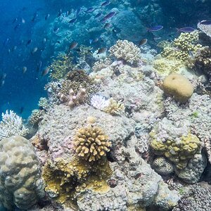 Great_Barrier_Reef-4.jpg