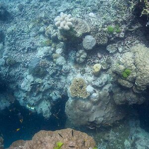 Great_Barrier_Reef-7.jpg