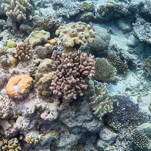 Great_Barrier_Reef-13.jpg