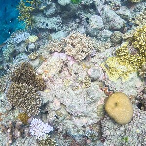 Great_Barrier_Reef-15.jpg