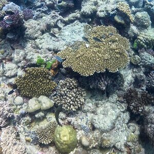 Great_Barrier_Reef-24.jpg