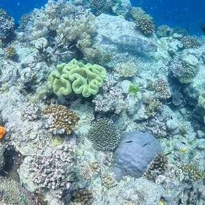 Great_Barrier_Reef-27.jpg