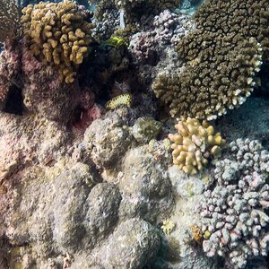 Great_Barrier_Reef-28.jpg