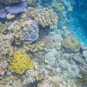 Great_Barrier_Reef-30.jpg