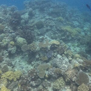 Great_Barrier_Reef-32.jpg