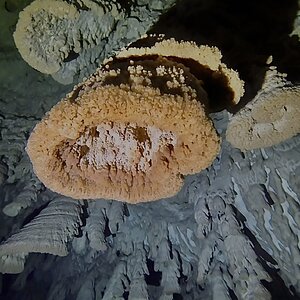 Biothems at Cenote Zapote