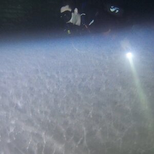 Hydrogen sulfide cloud at cenote 7 Bocas