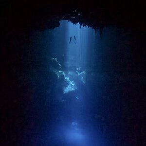 Cenote The Pit | Rigo The Cenote Guide