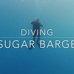 Diving Sugar Barge Incl. Massive shoal of Goliath fish