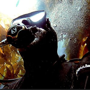 Diligent Diver Gear Test: Orca Torch D570 Green Laser Dive Light
