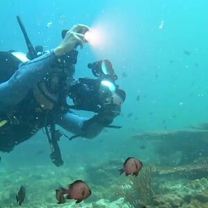 How to install the H02 Camera Tray with the D910V video dive light?