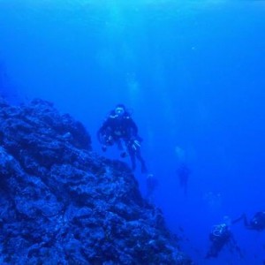 Diving_tenerife_SUBCANARIA_COM