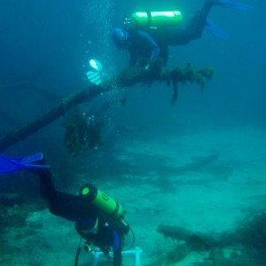 Divers over Cream of Wheat