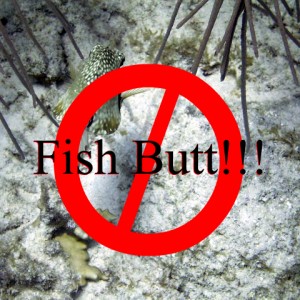 Fish Butt!!!