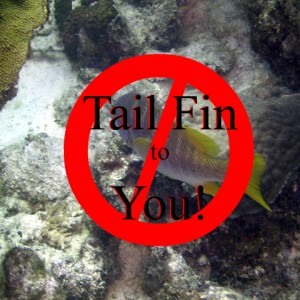 Tail Fin to You!