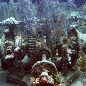 Stern of the Prince Albert