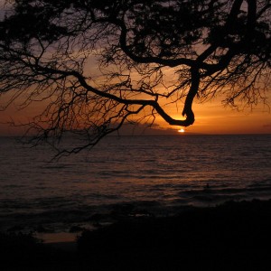 Kamaole Beach - Maui